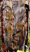 totem1.jpg (18046 bytes)
